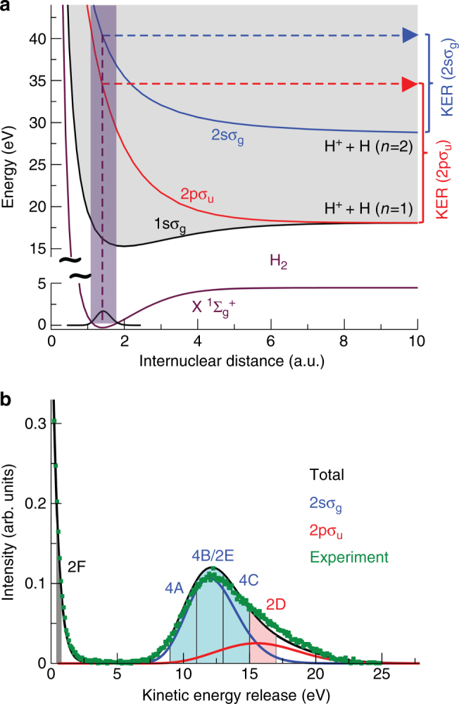 Fig. 3