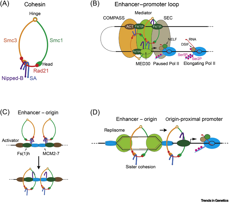 Figure 1.