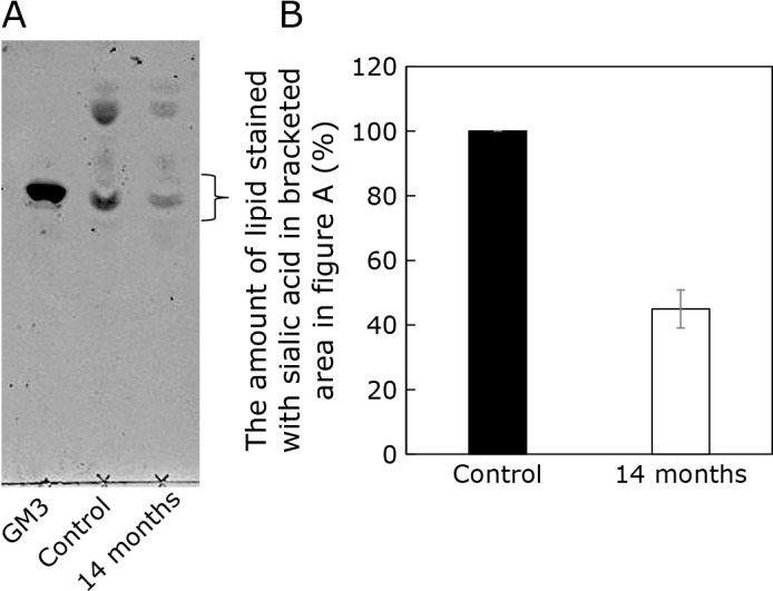 Fig. 5.