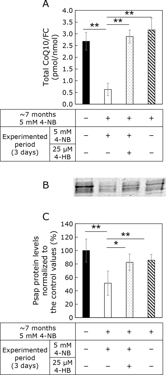 Fig. 4.