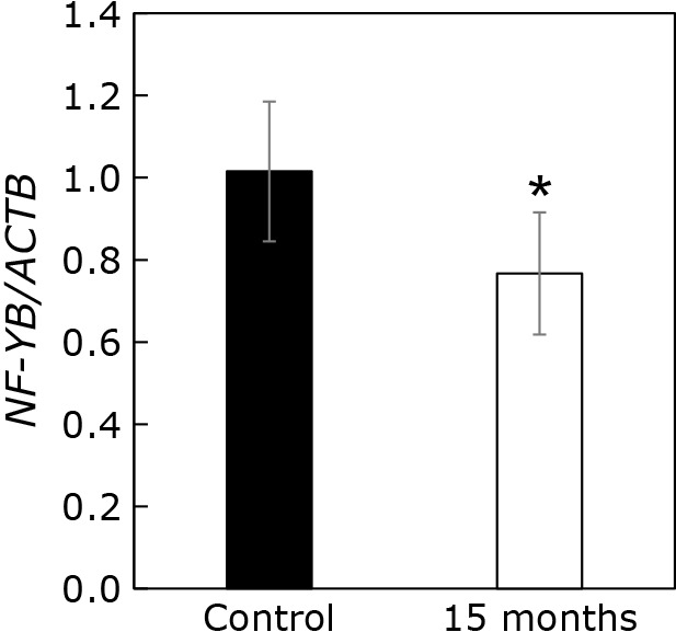 Fig. 6.