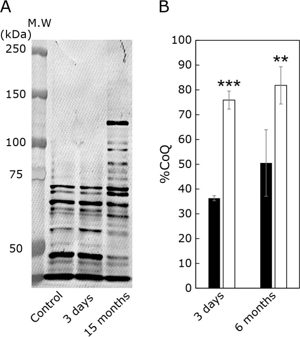 Fig. 2.