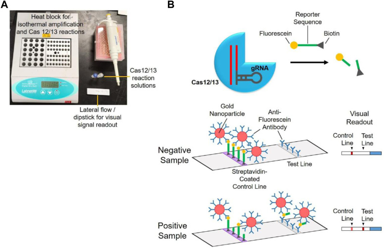 FIGURE 3