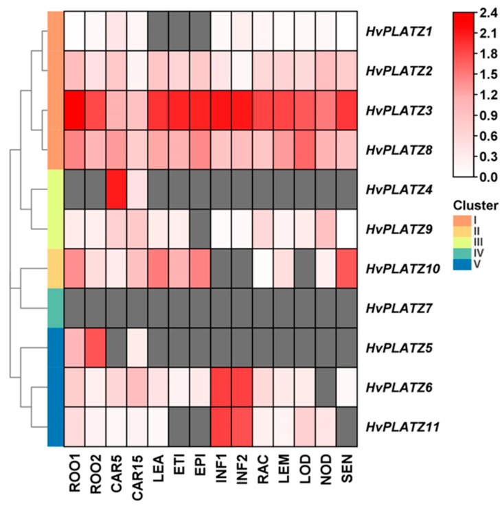 Figure 7