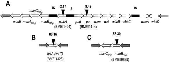 FIG. 2.