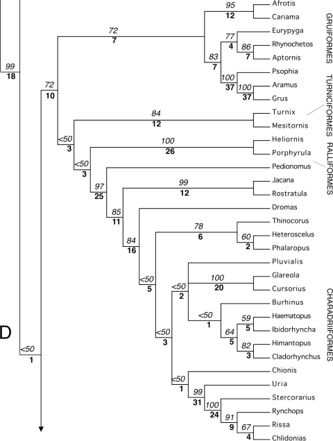 Figure 15