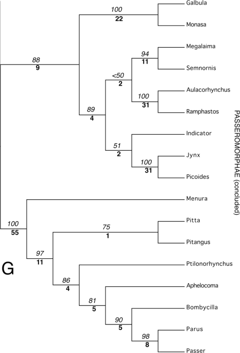 Figure 18