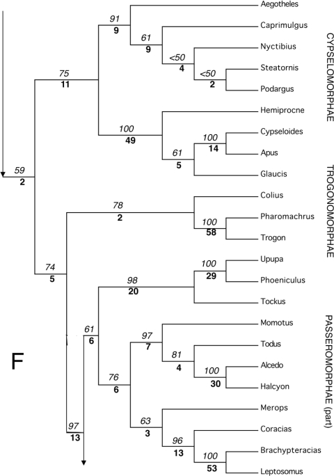 Figure 17