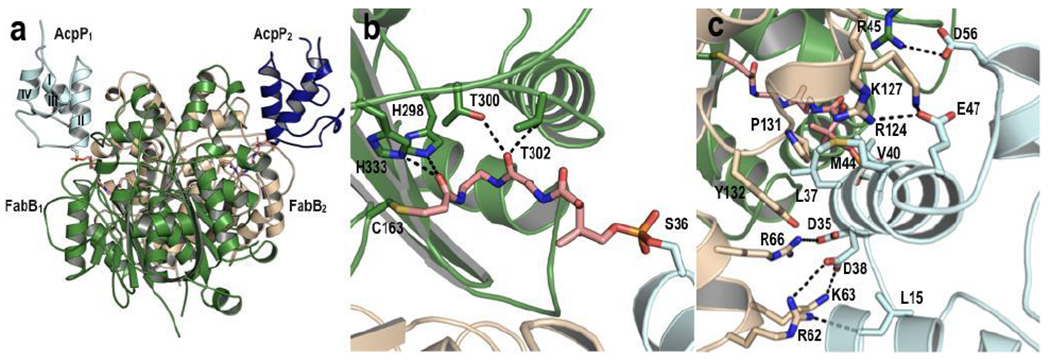 Figure 1: