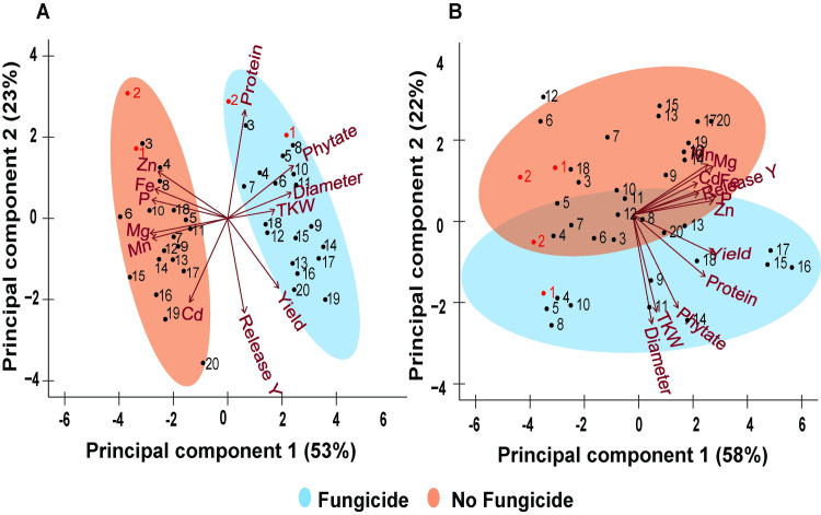 Fig 6