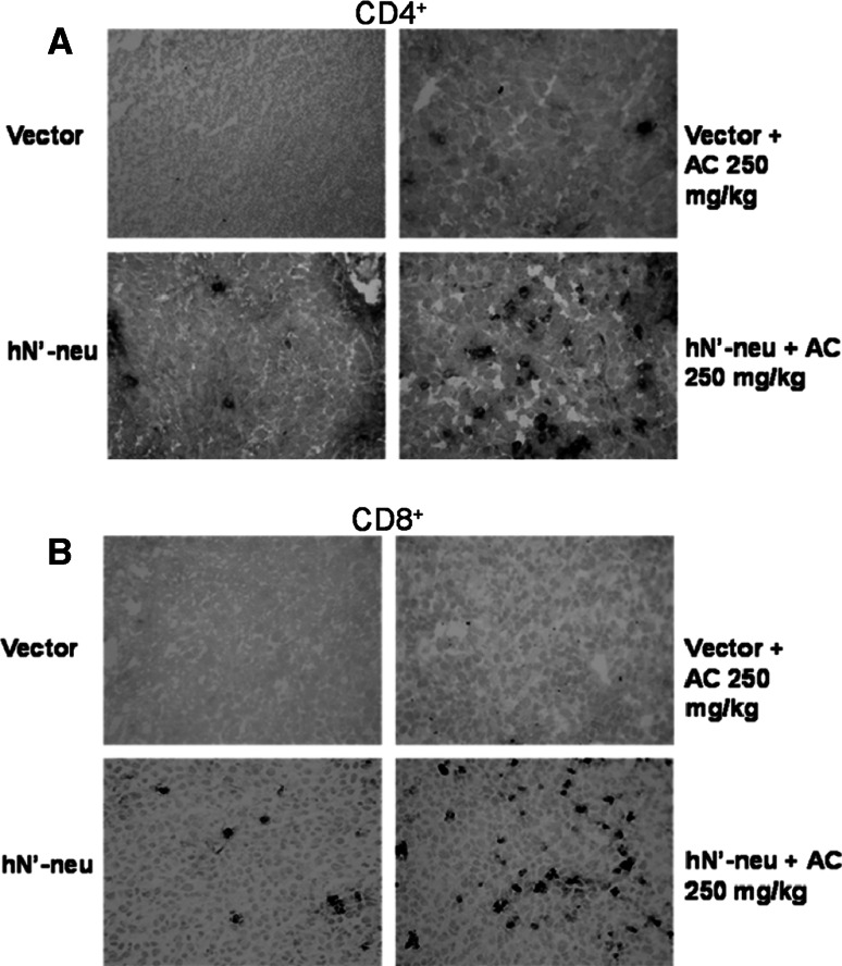 Fig. 5