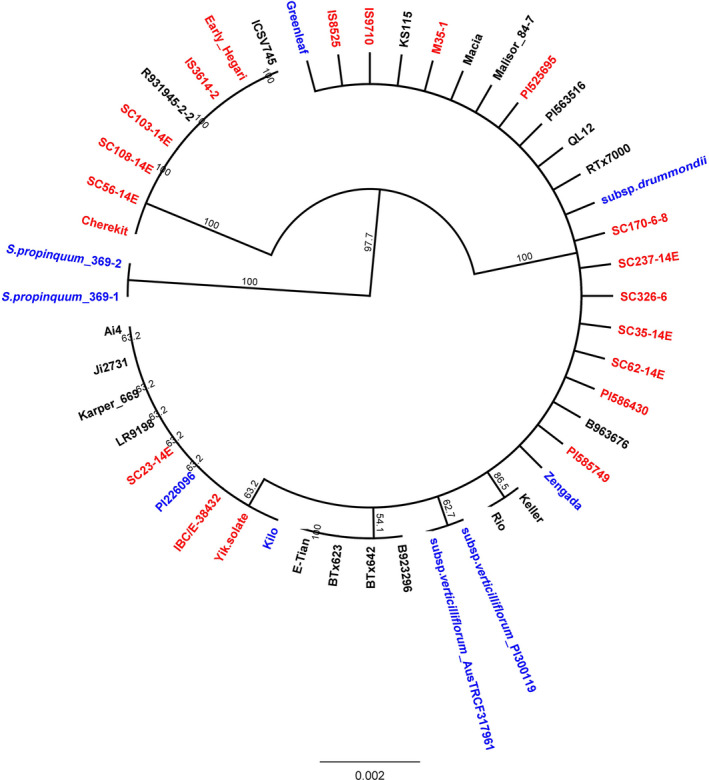 Figure 6