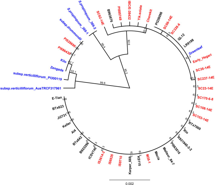 Figure 5