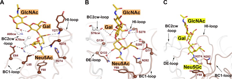 FIG 3