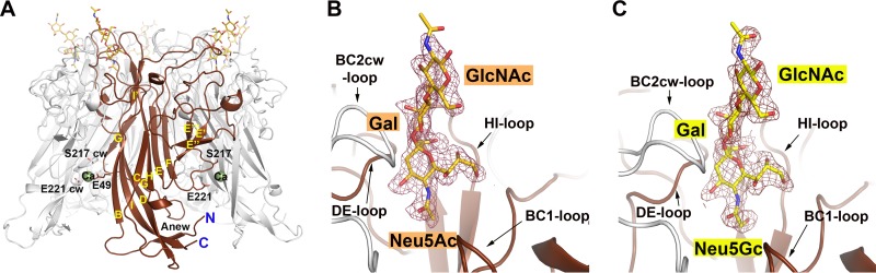 FIG 2