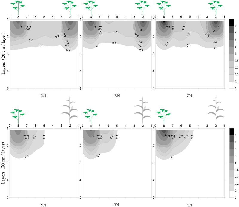 Fig 5