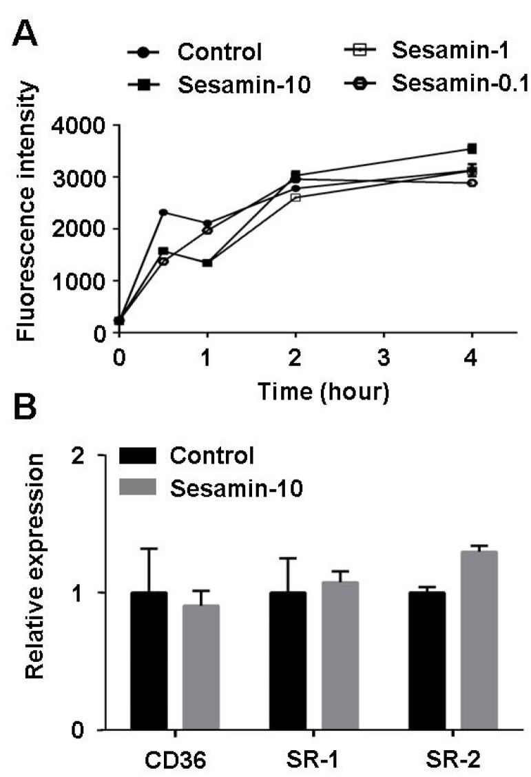 Figure 6