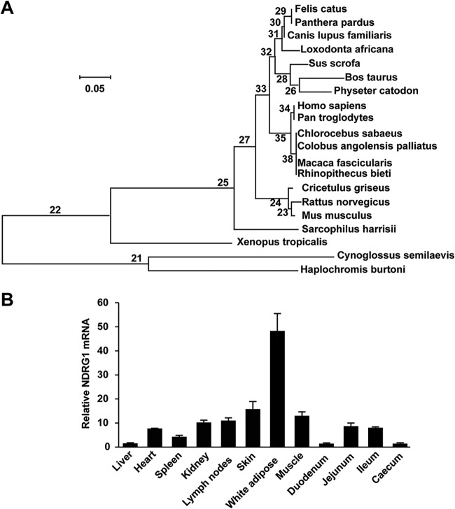 FIG 1