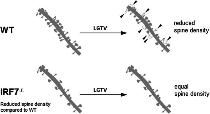 Fig. 11