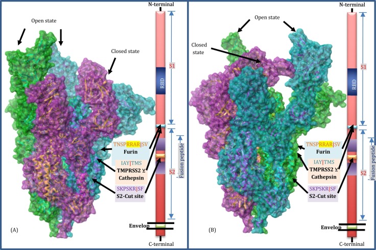 Fig. 3