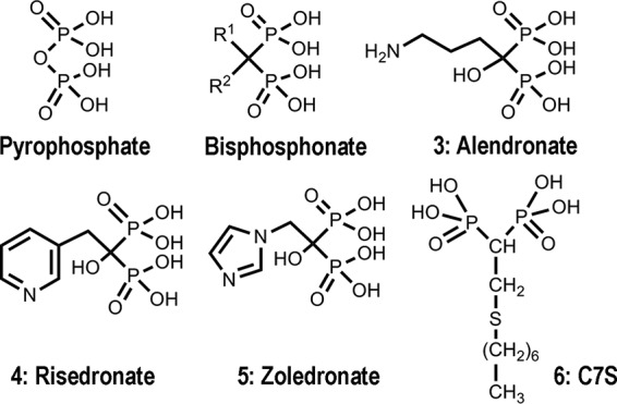 FIG 1