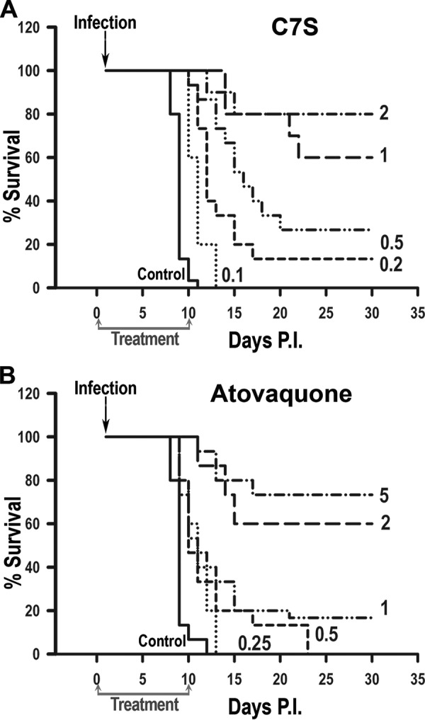 FIG 2