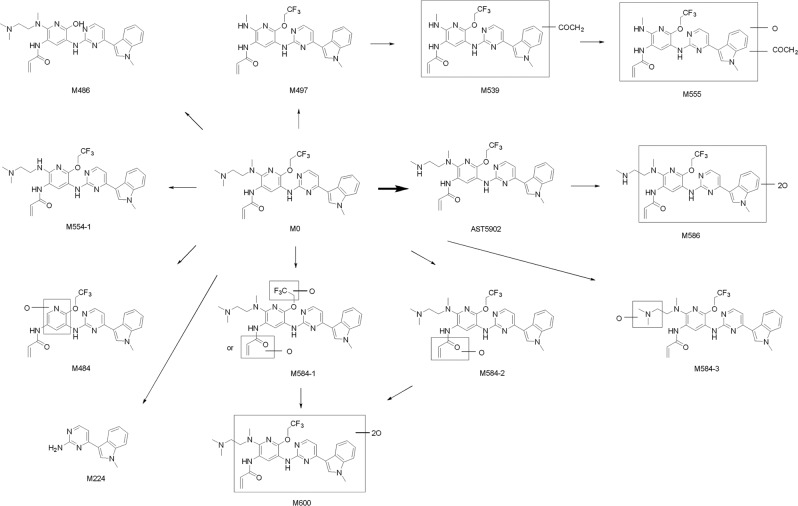 Fig. 5