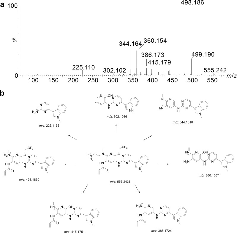 Fig. 2