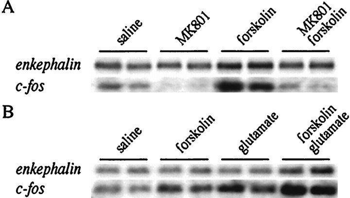 Fig. 10.