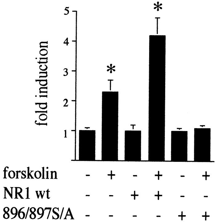 Fig. 14.