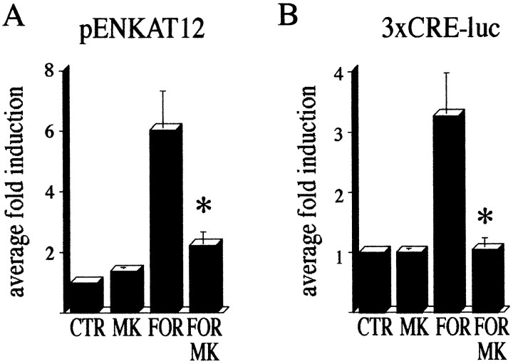 Fig. 11.