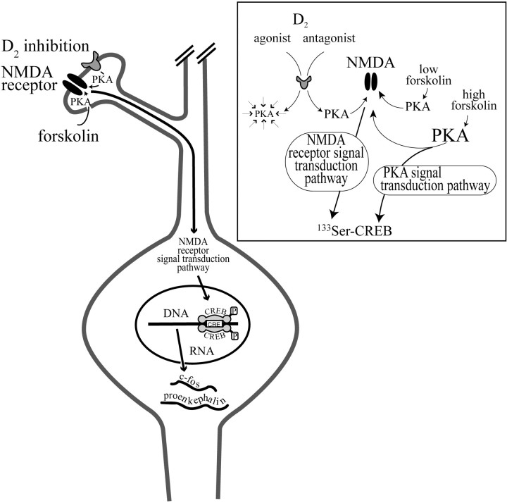 Fig. 15.