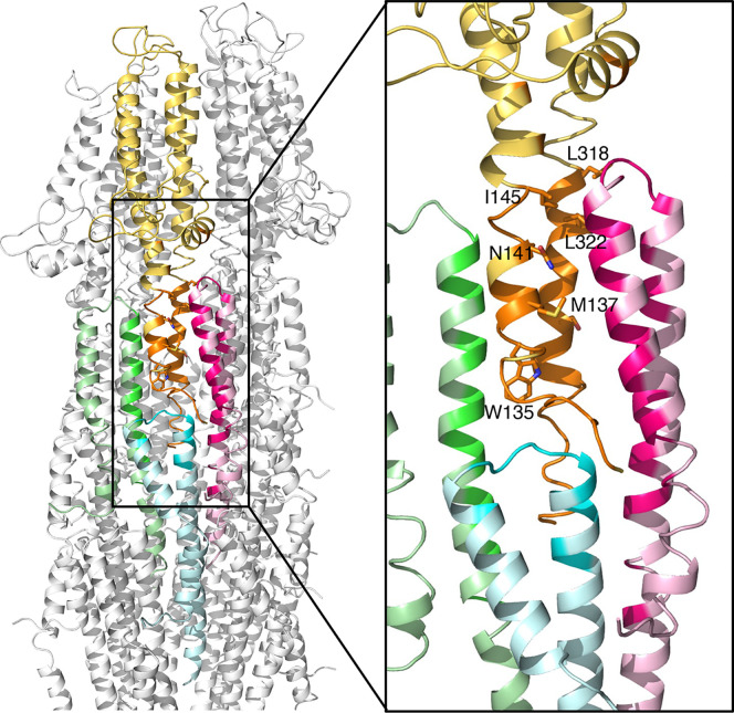 Fig. 4.