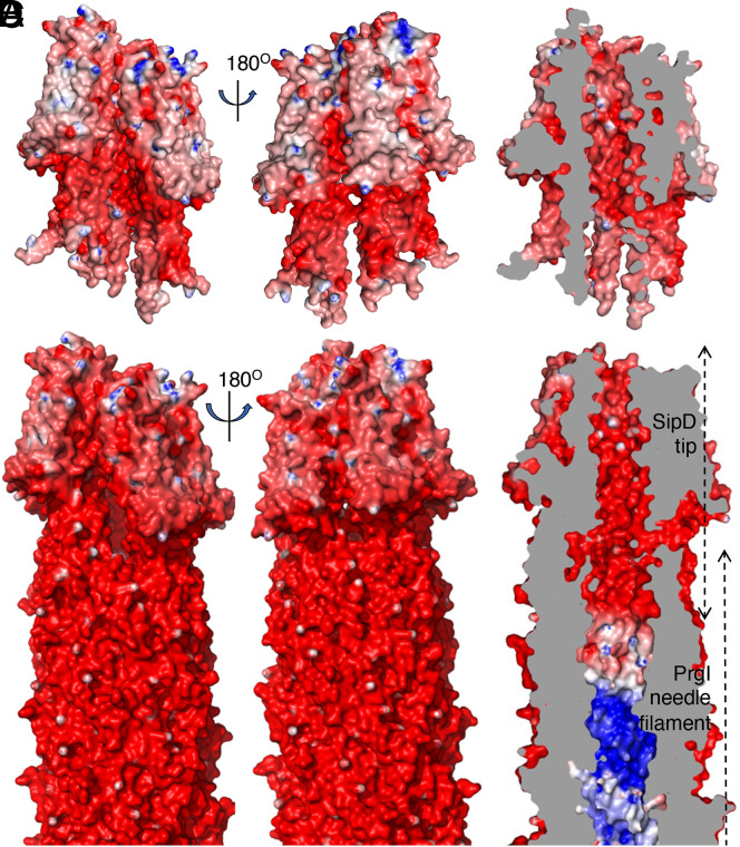 Fig. 3.