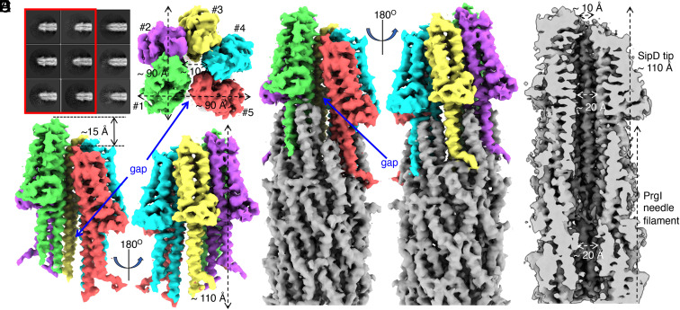 Fig. 1.