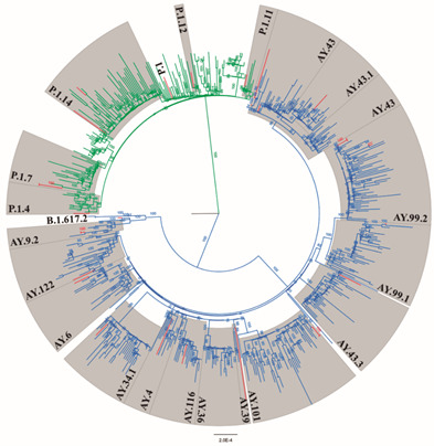 Fig. 3: