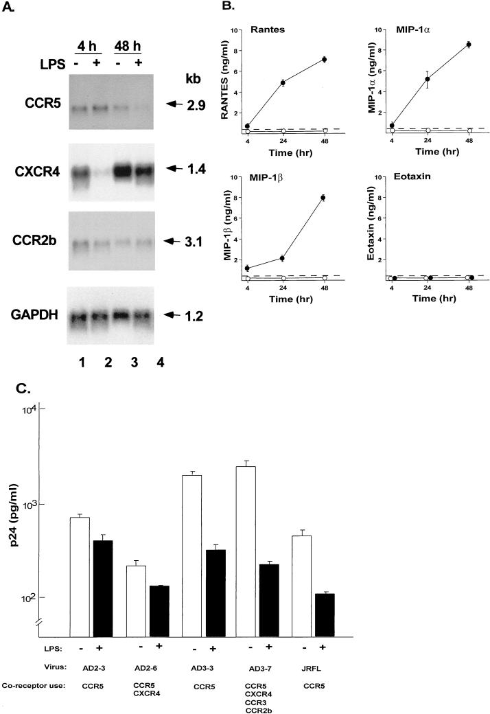 FIG. 6