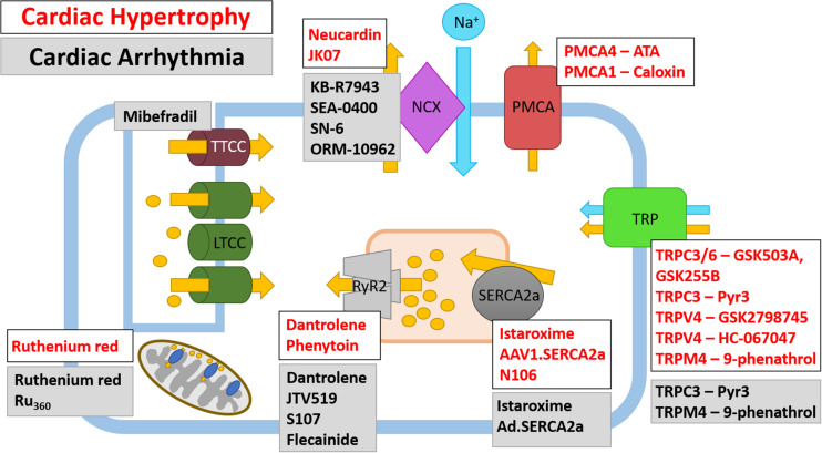 FIGURE 4