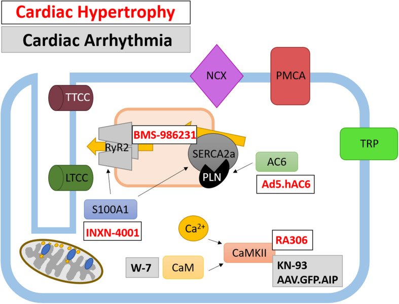 FIGURE 3