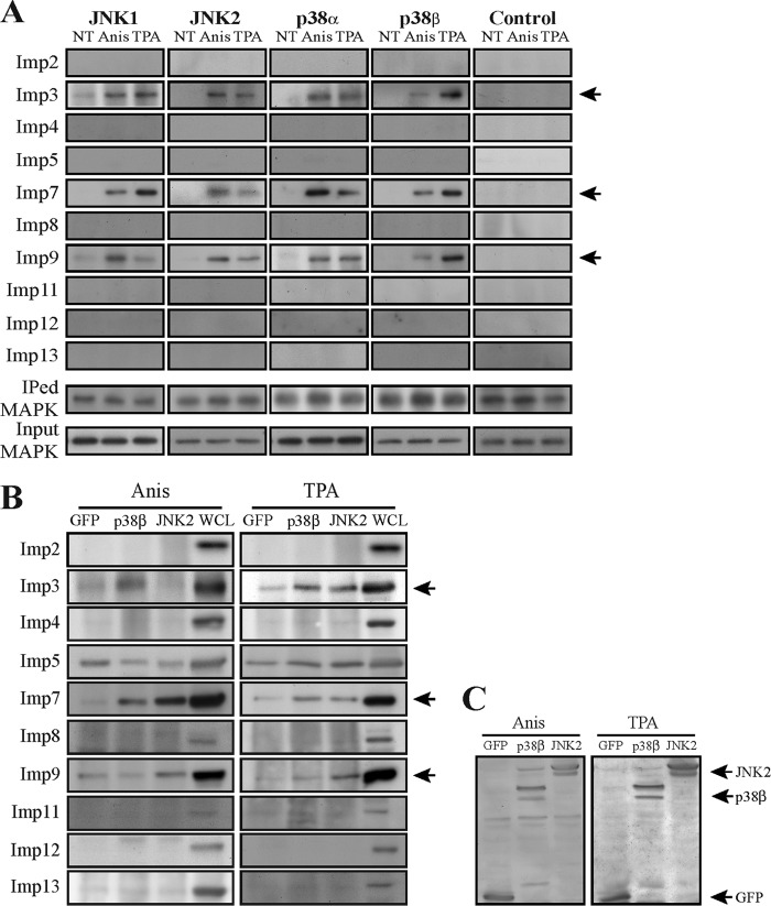 FIG 5