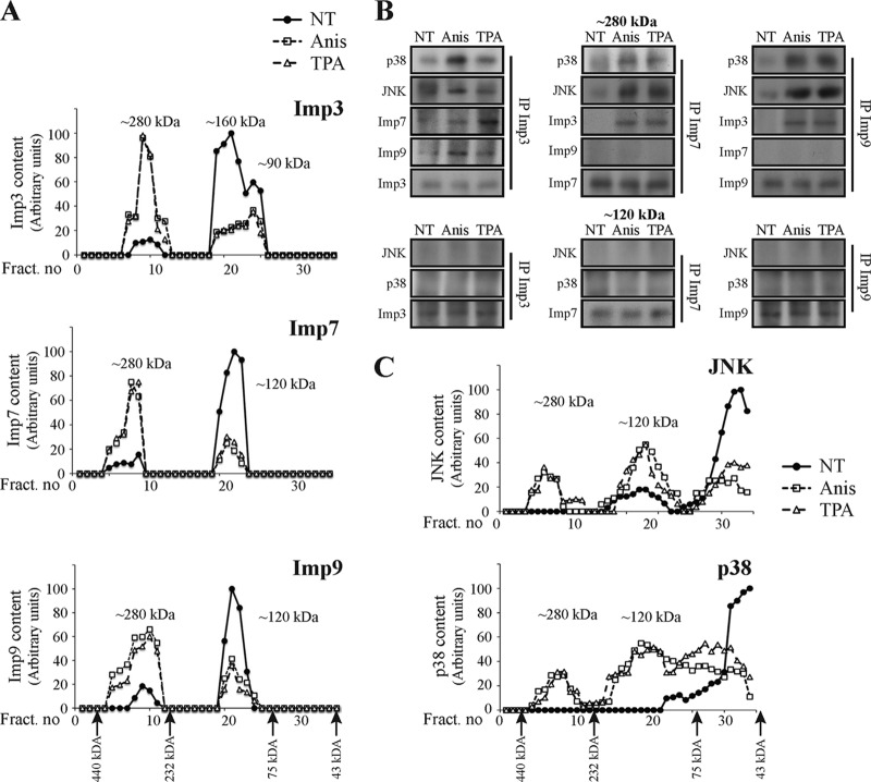 FIG 10