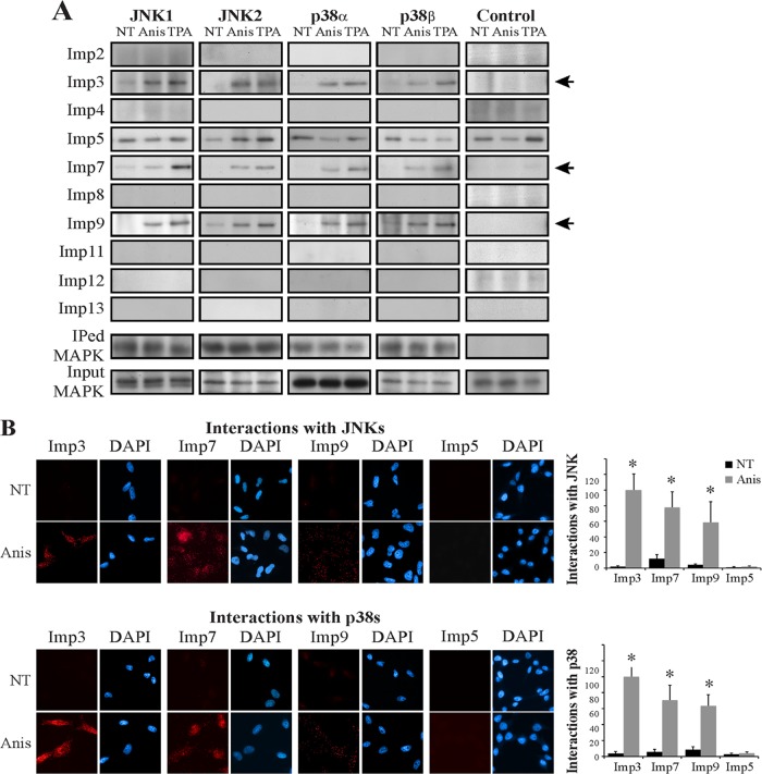 FIG 4