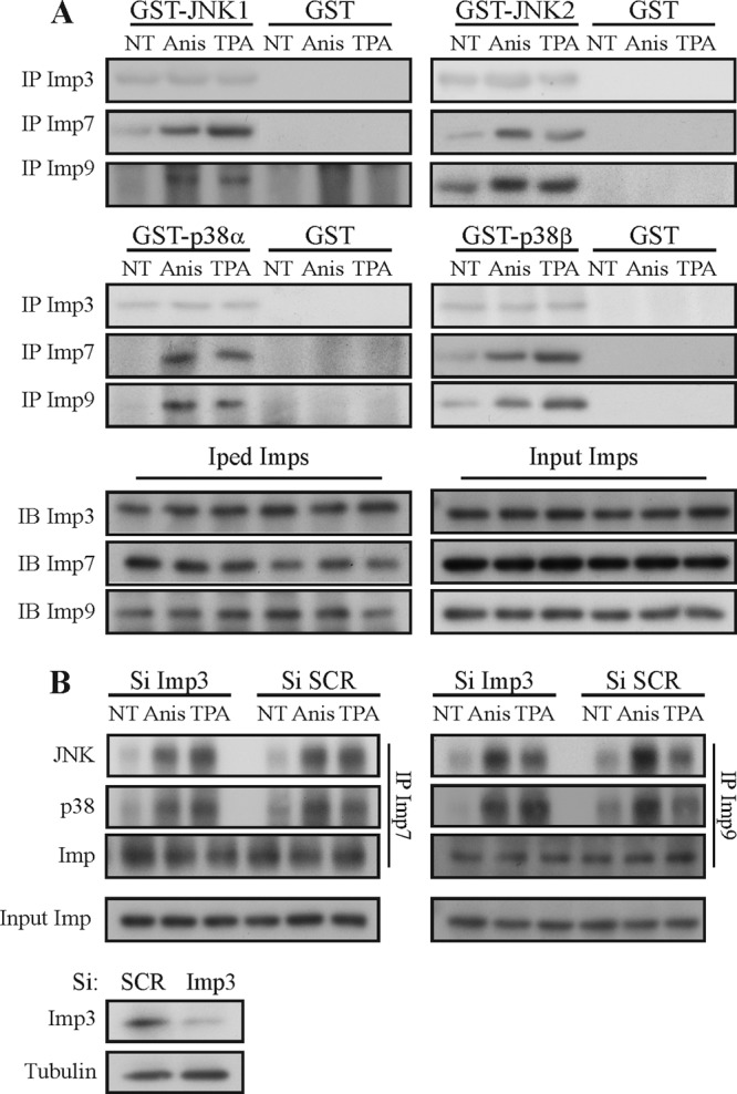 FIG 8