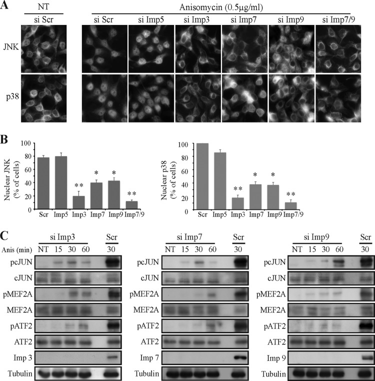 FIG 6