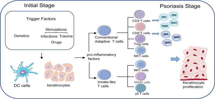 Figure 1