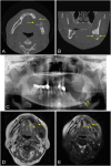 Fig. 5