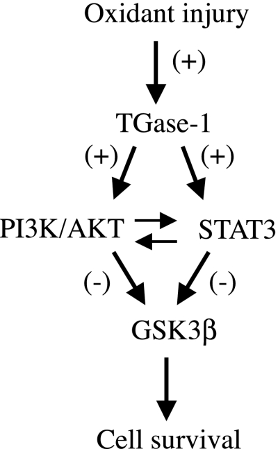 Fig. 11.