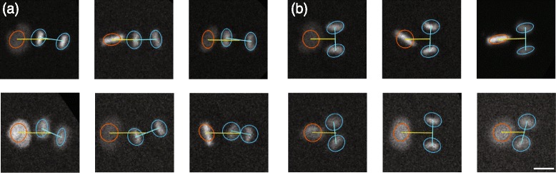 Fig. 10