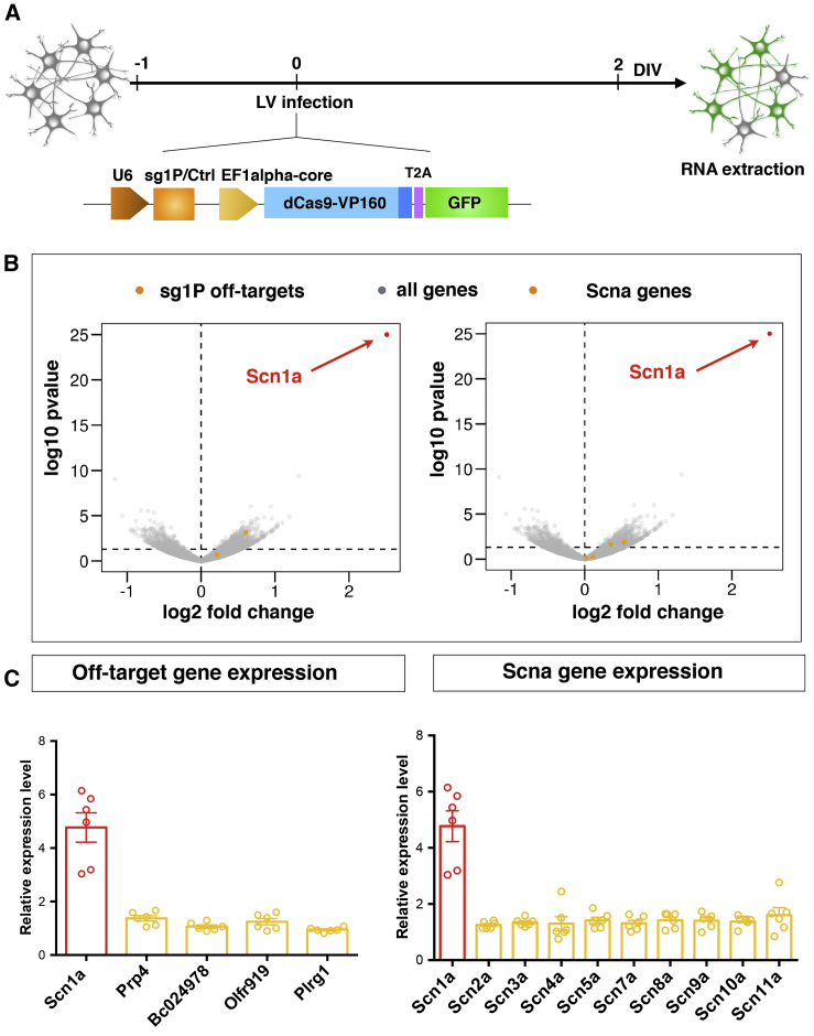 Figure 3