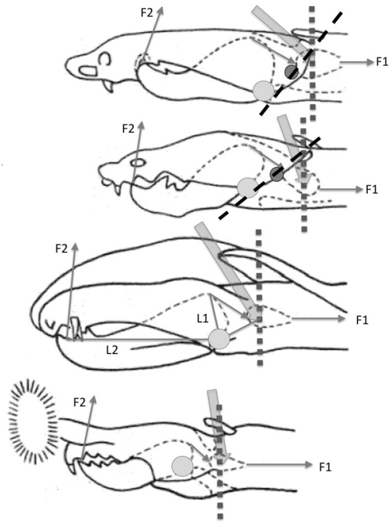 Fig. 17
